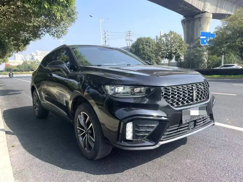 2020 WEY VV5 thumbnail 3