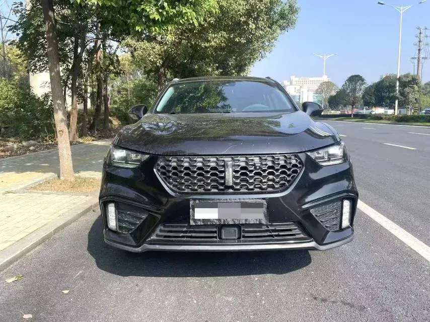 2020 WEY VV5 thumbnail 2