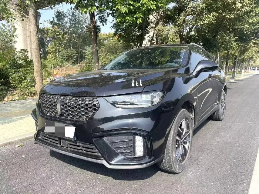 2020 WEY VV5 view 1