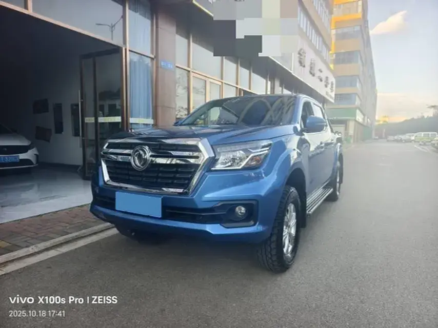 2019 DONGFENG RUIQI view 1