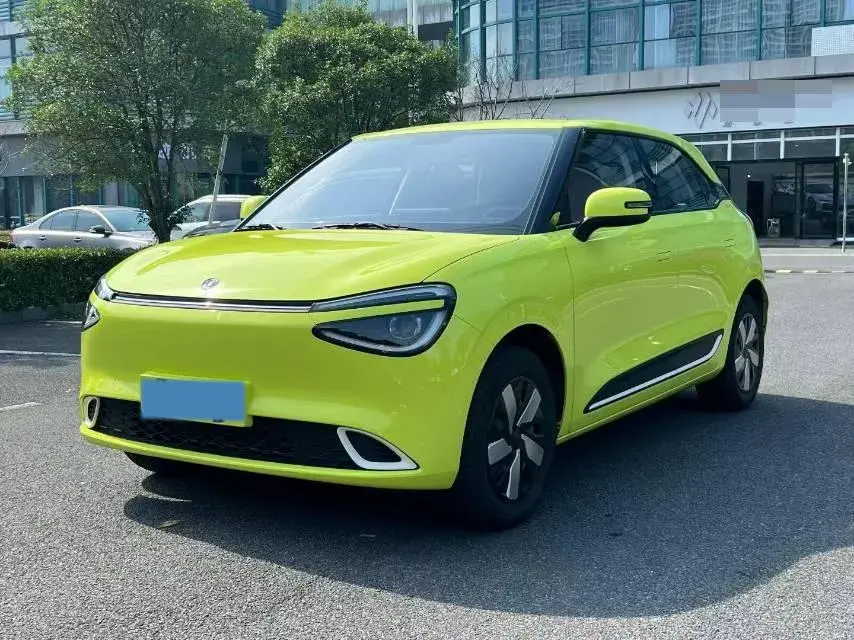 2024 DONGFENG NAMMI view 1