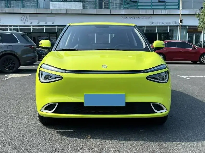 2024 DONGFENG NAMMI thumbnail 2