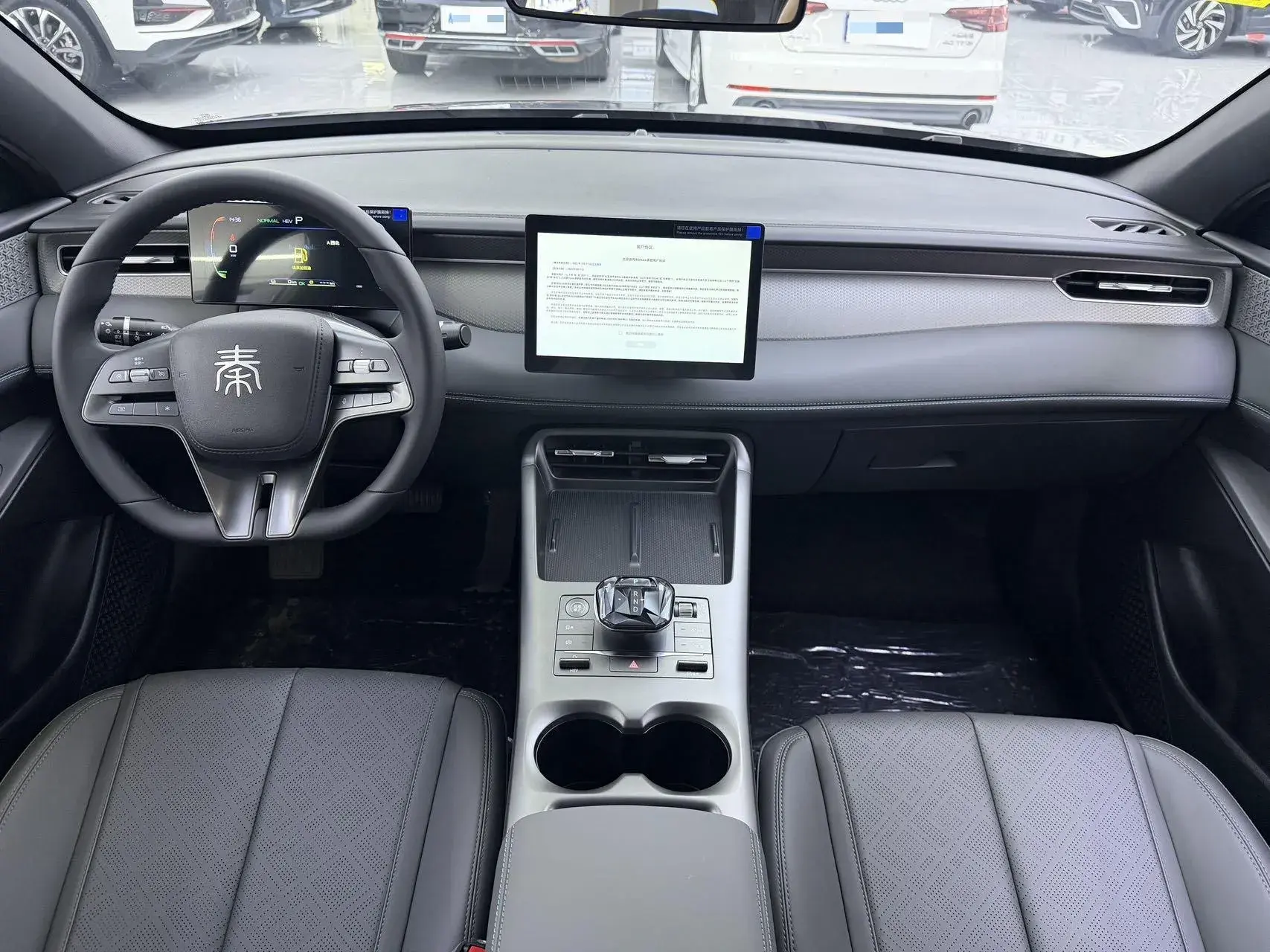 2025 BYD QIN thumbnail 4