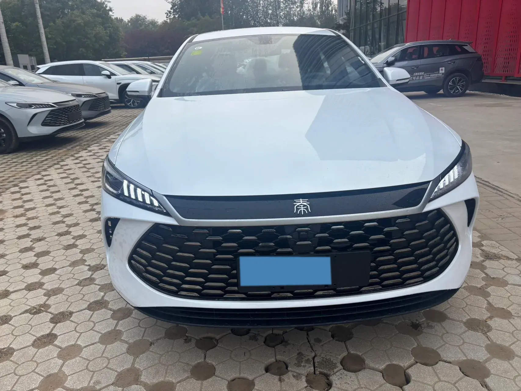 2025 BYD QIN thumbnail 2