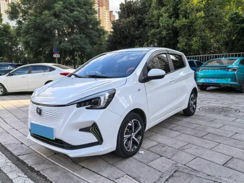2020 CHANGAN BENBEN view 1