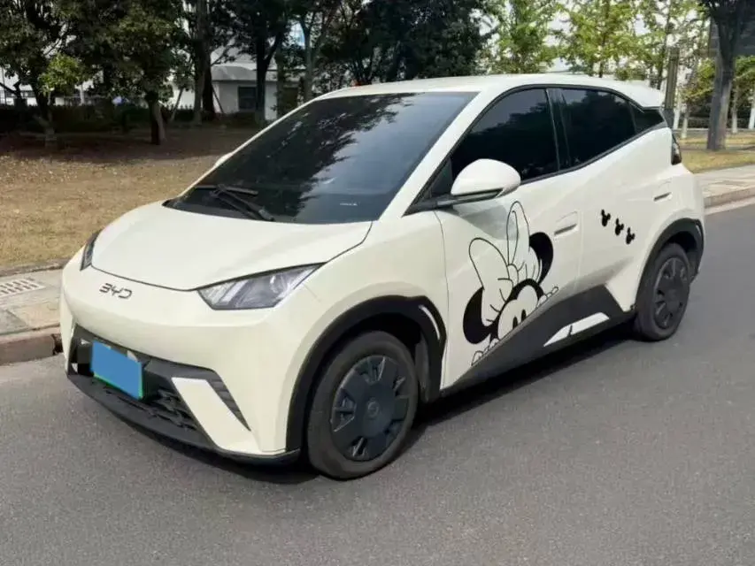 2024 BYD SEAGULL view 1