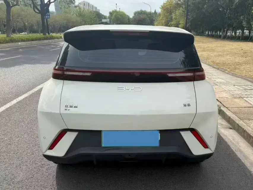 2024 BYD SEAGULL thumbnail 4