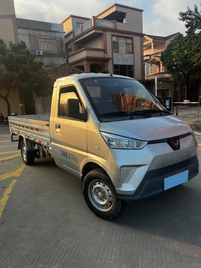 2021 WuLing Electric Truck BEV 41.86KWH,autocango,china used car exporter,china ev exporter,chinese used car exporter,chinese used ev exporter