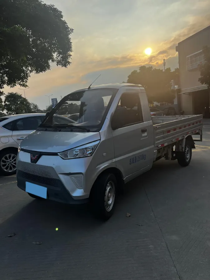 2021 WuLing Electric Truck BEV 41.86KWH,autocango,china used car exporter,china ev exporter,chinese used car exporter,chinese used ev exporter