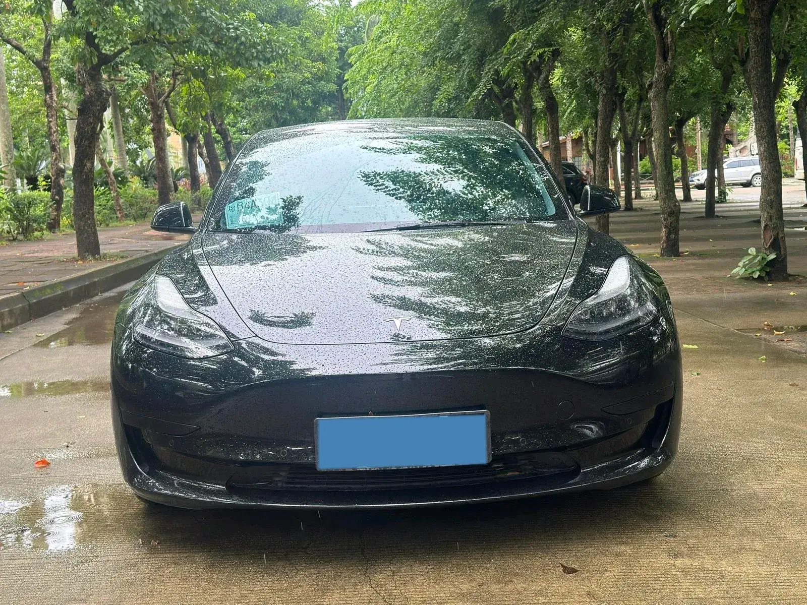 2021 TESLA MODEL thumbnail 2