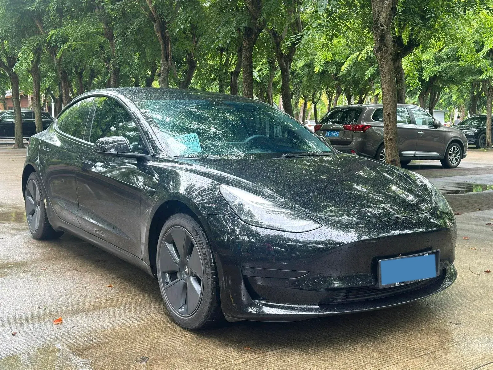 2021 TESLA MODEL thumbnail 3