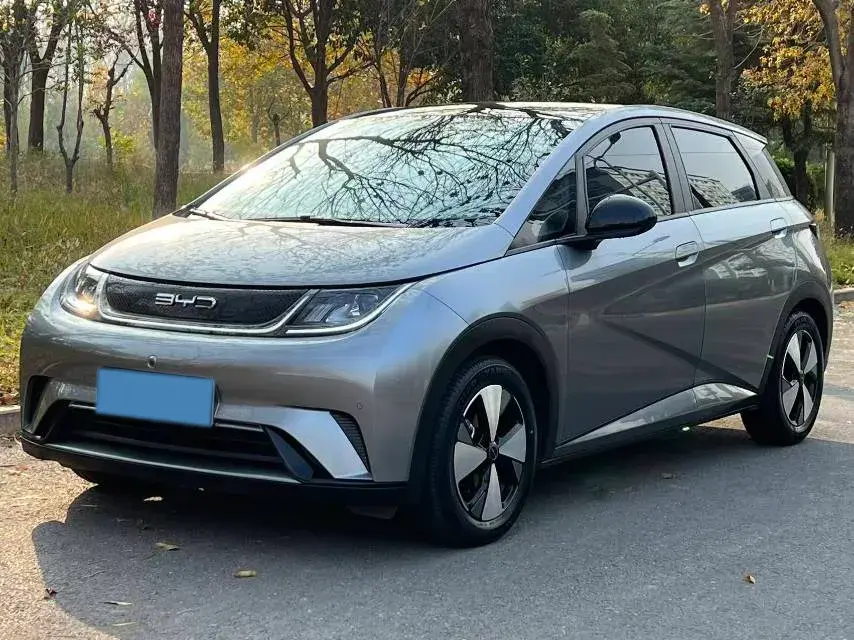 2023 BYD DOLPHIN view 1