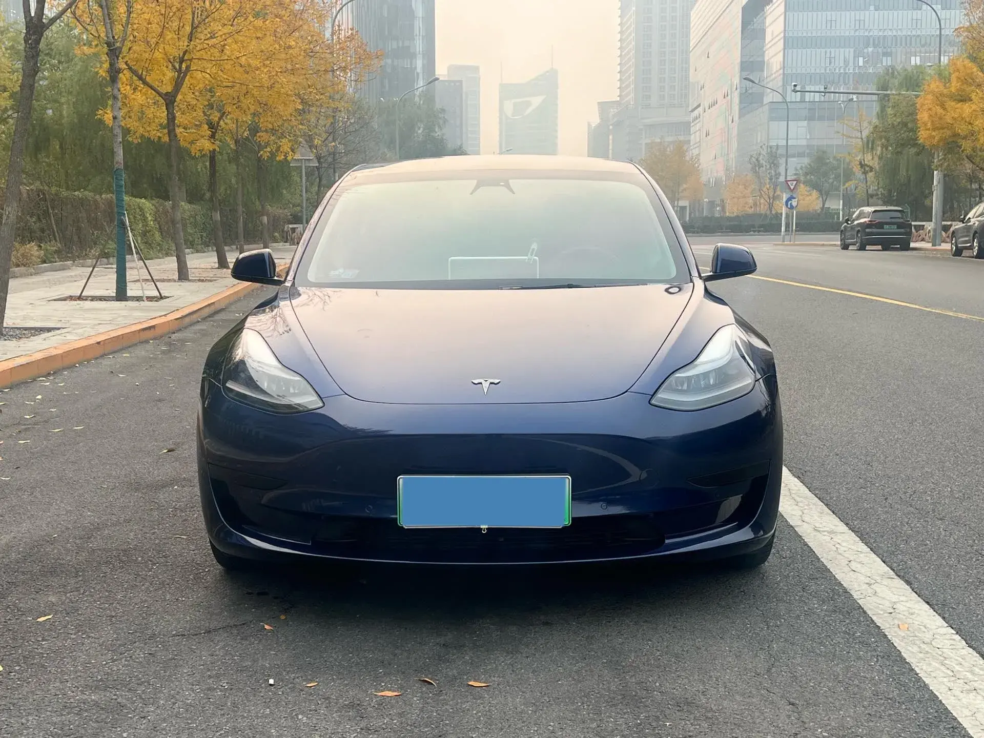 2021 TESLA MODEL thumbnail 2