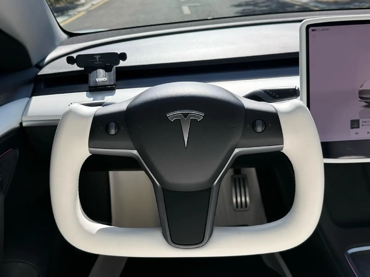 2022 Tesla Model 3 BEV 78.4KWH,autocango,china used car exporter,china ev exporter,chinese used car exporter,chinese used ev exporter