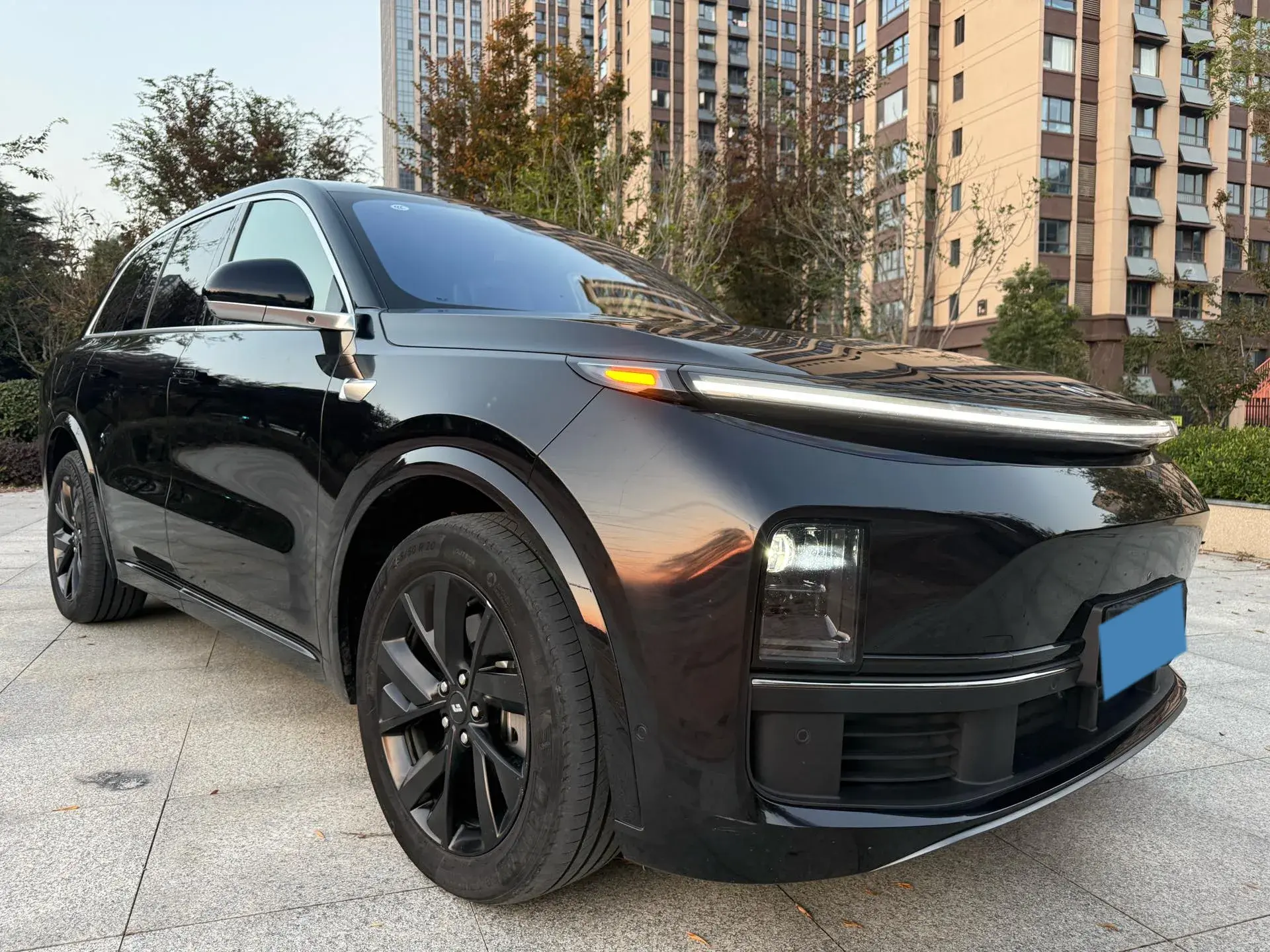 2023 LI L8 thumbnail 3