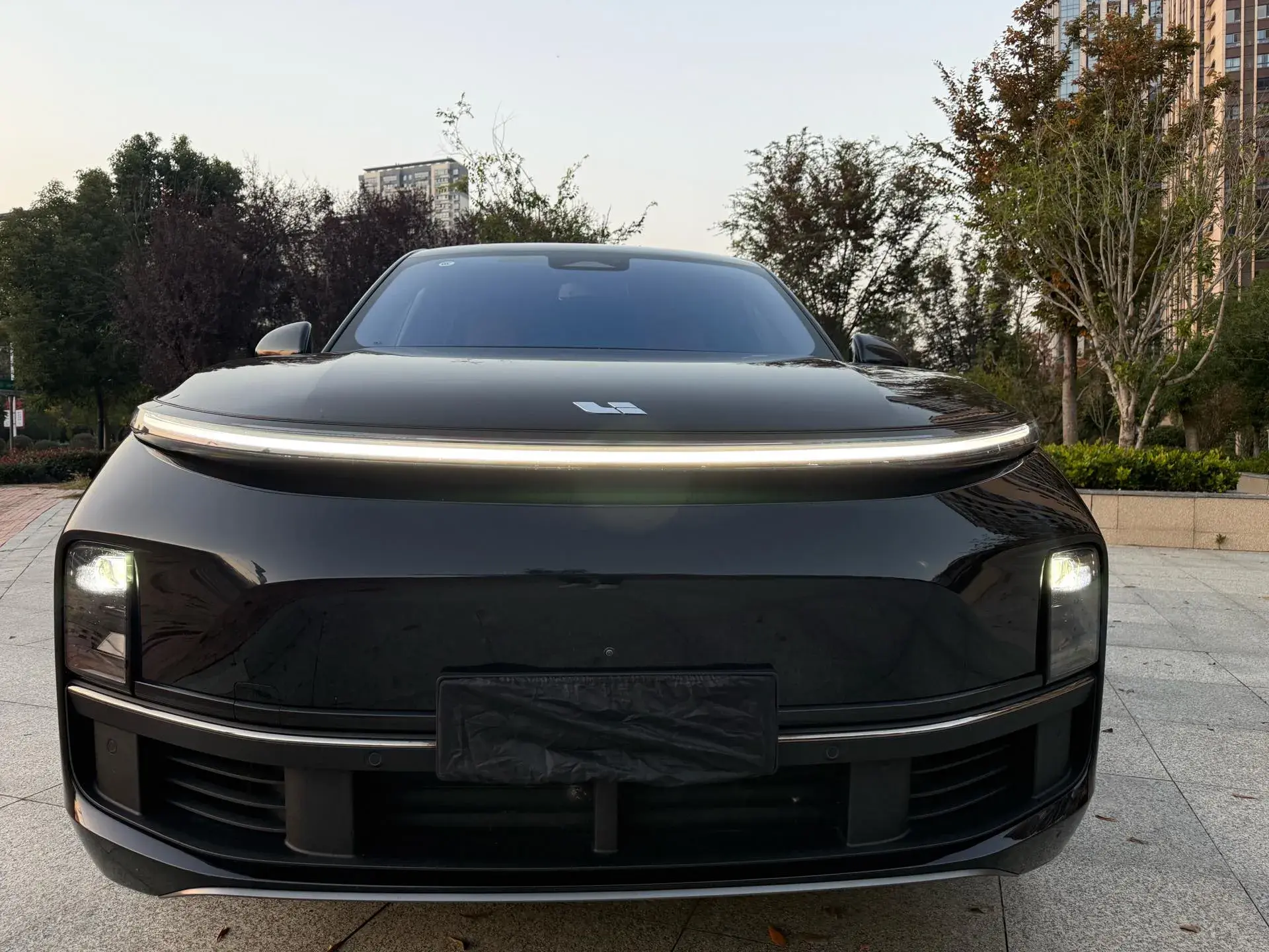 2023 LI L8 thumbnail 2