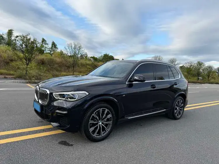 2022 BMW X5 view 1