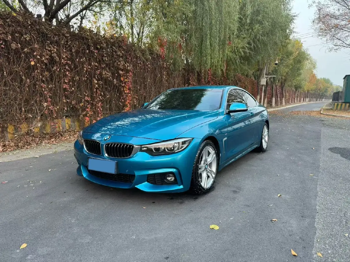 2019 BMW 8 Series 3.0T 340HP L6 8AT