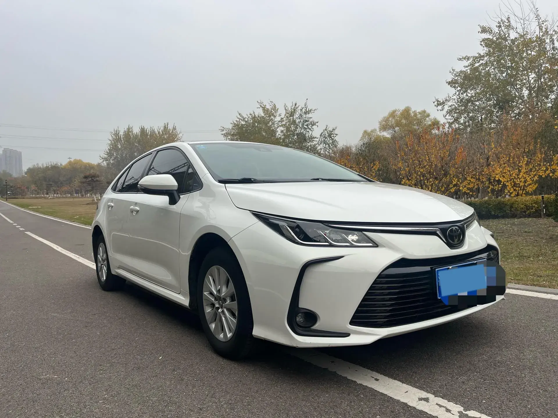 2019 TOYOTA COROLLA thumbnail 2