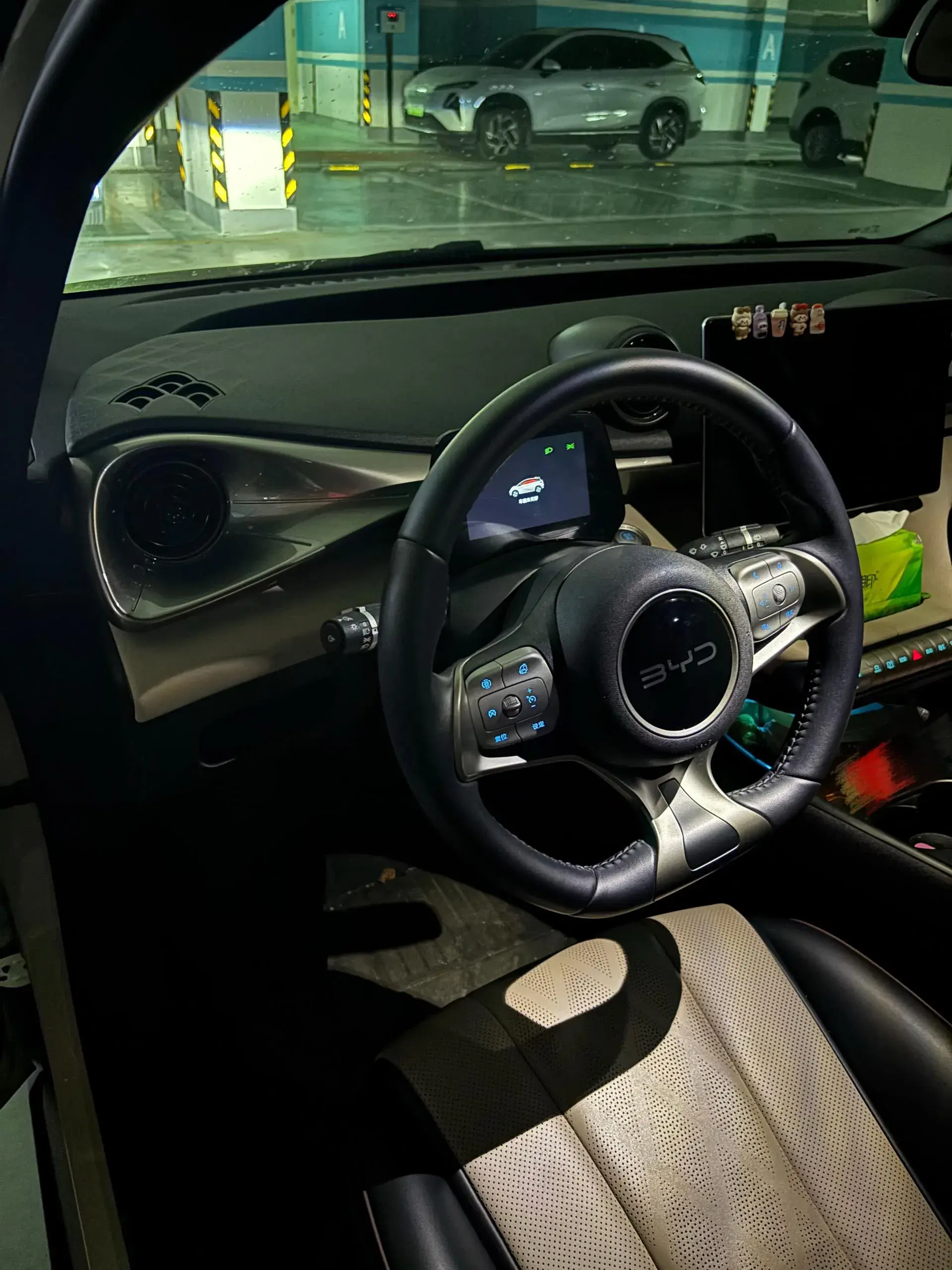 2024 BYD DOLPHIN thumbnail 2