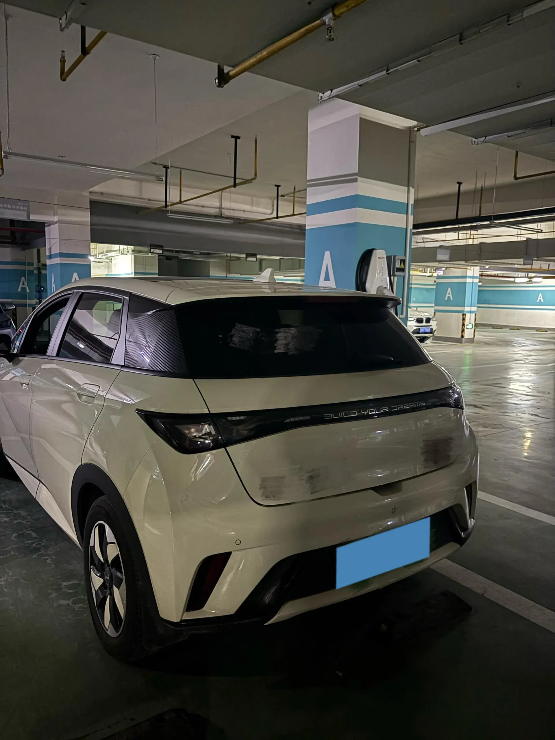 2024 BYD DOLPHIN thumbnail 3