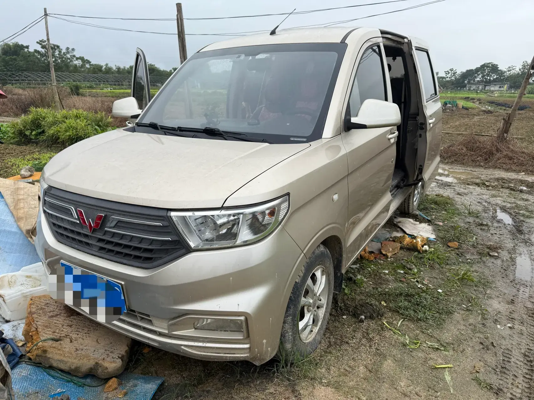 2019 WULING HONGGUANG view 1