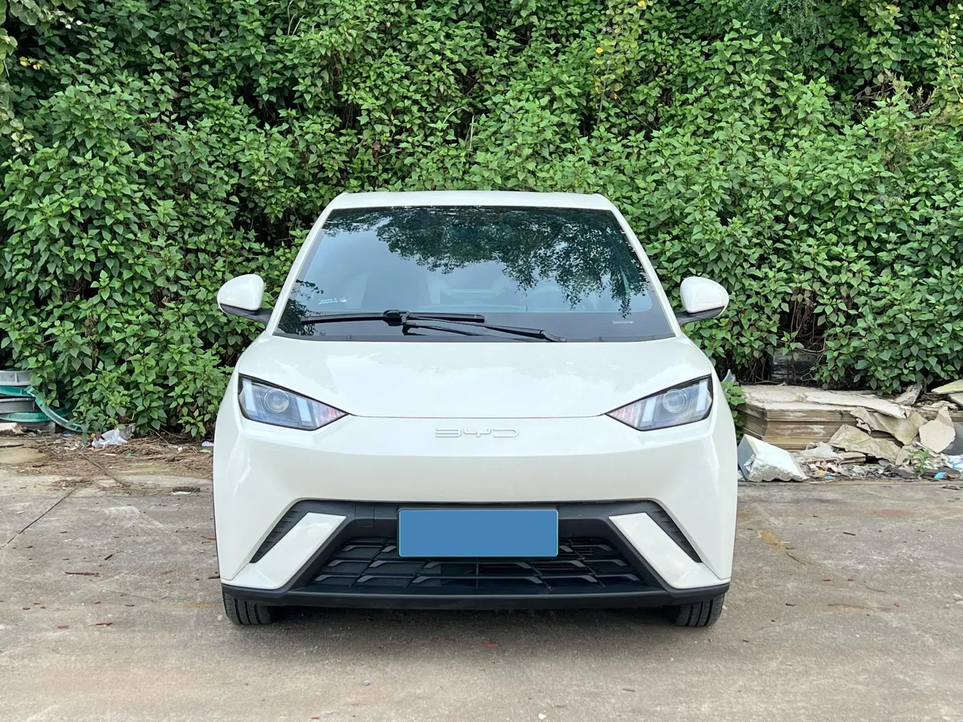 2023 BYD SEAGULL thumbnail 2