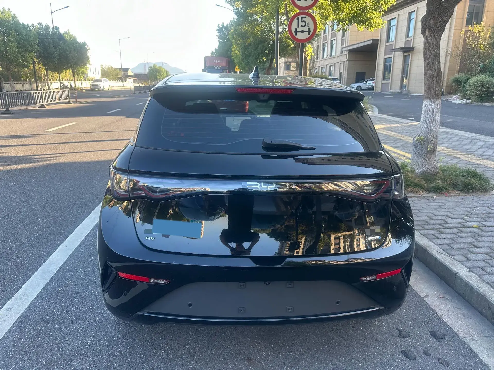 2025 BYD DOLPHIN thumbnail 3