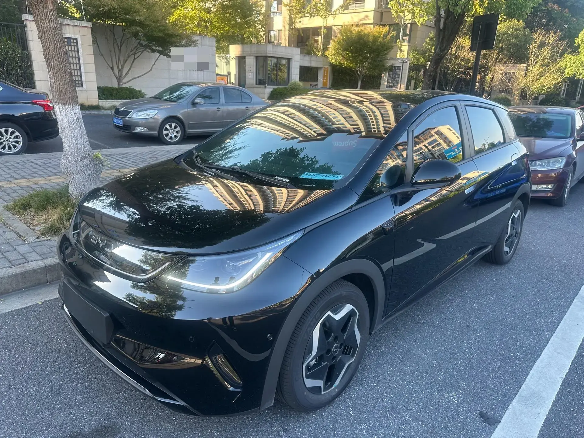 2025 BYD DOLPHIN view 1