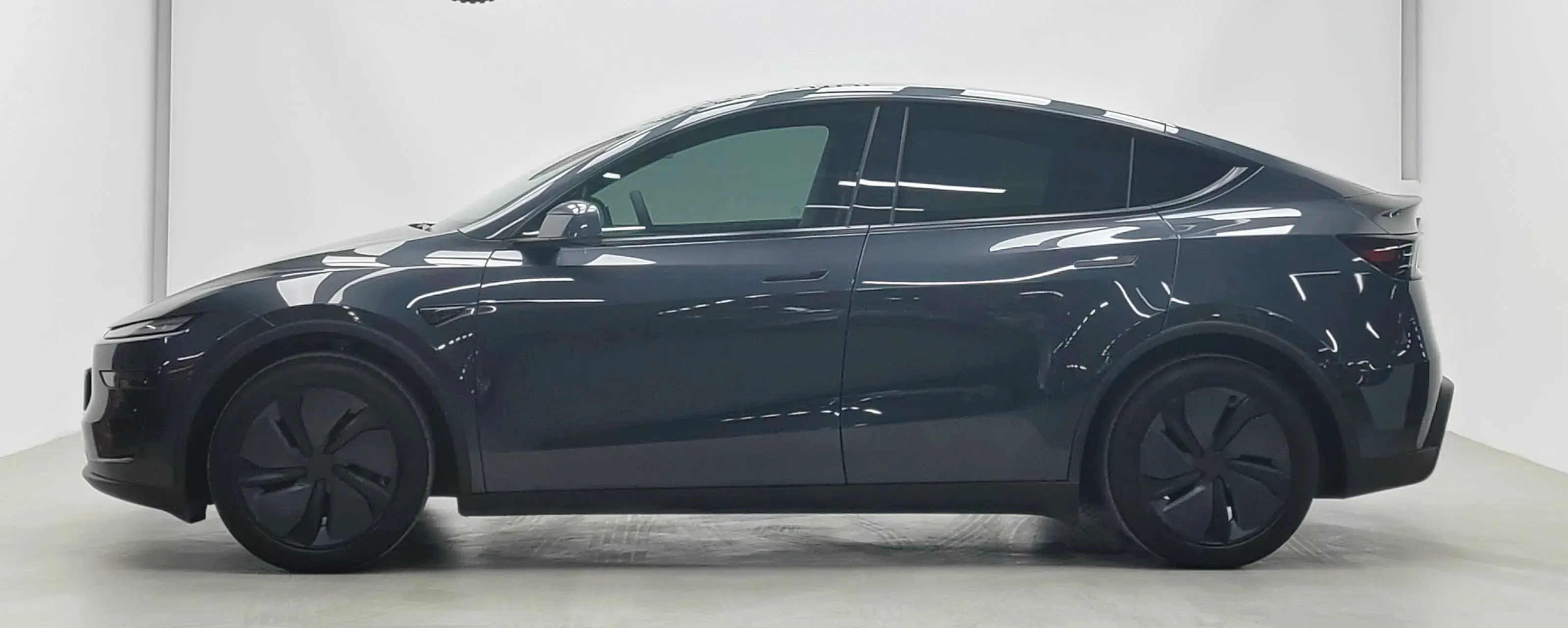 2025 TESLA MODEL thumbnail 2