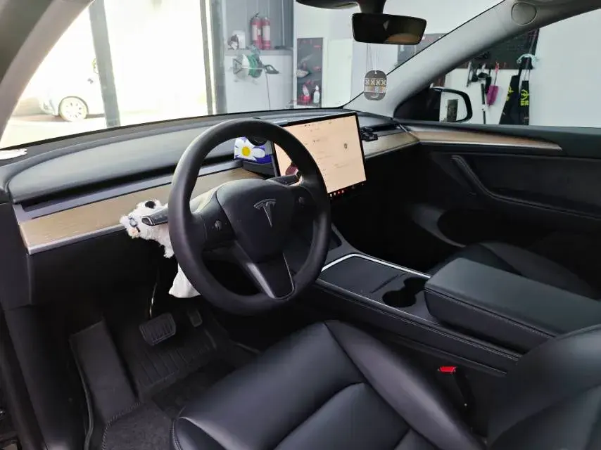 2022 TESLA MODEL thumbnail 4