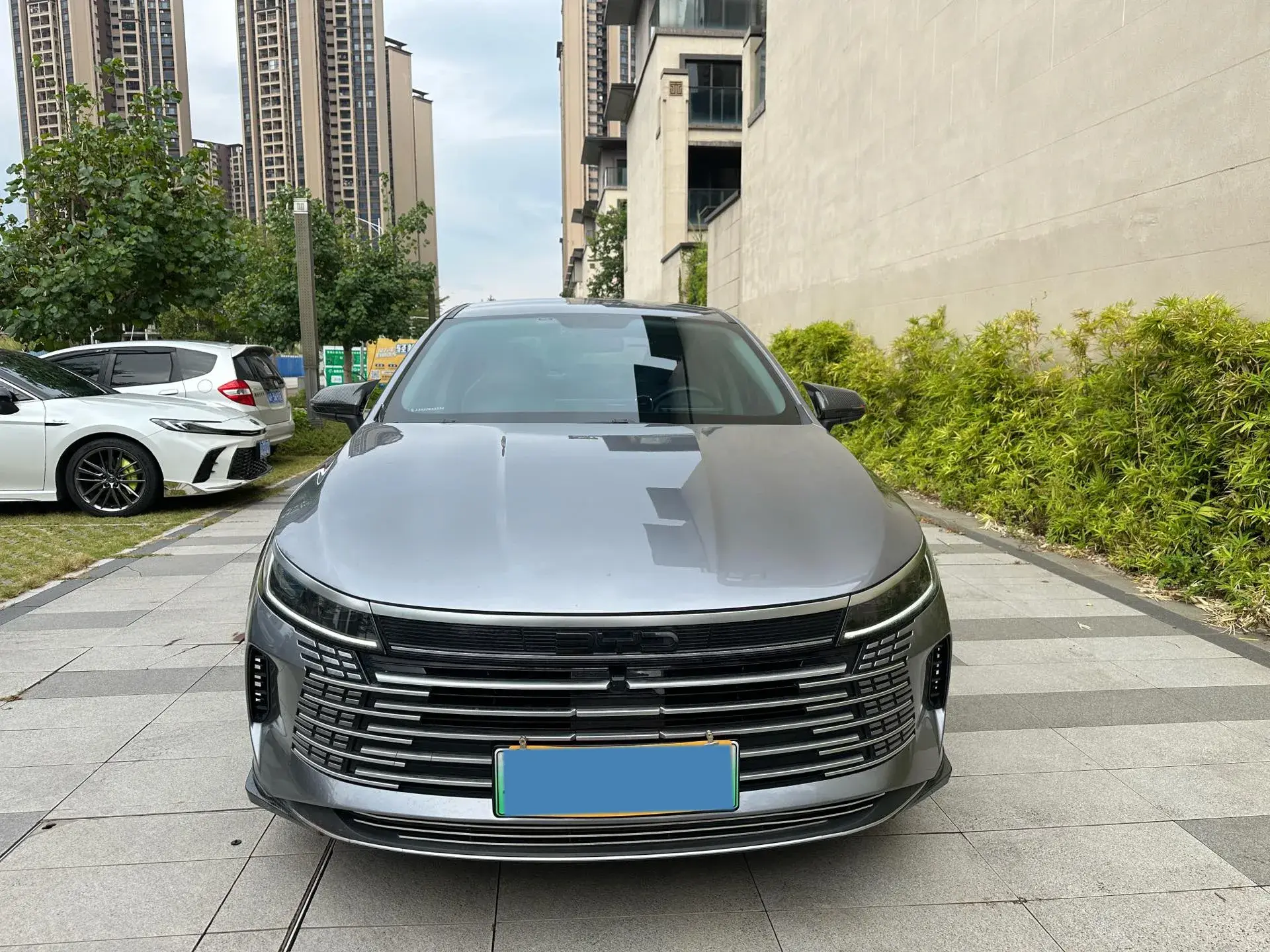 2024 BYD DESTROYER thumbnail 2