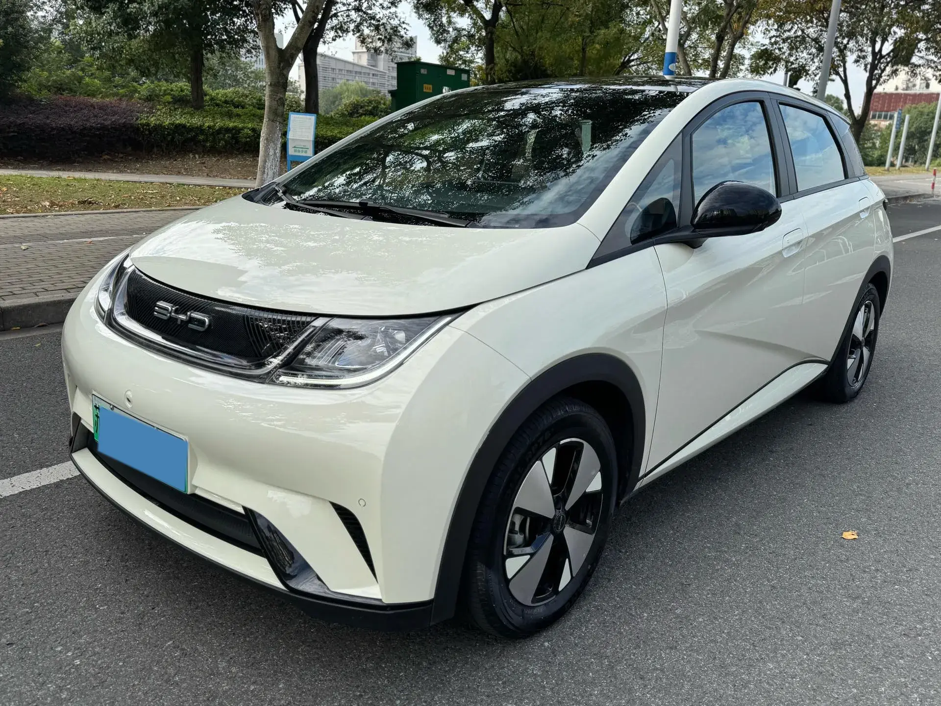 2023 BYD DOLPHIN view 1