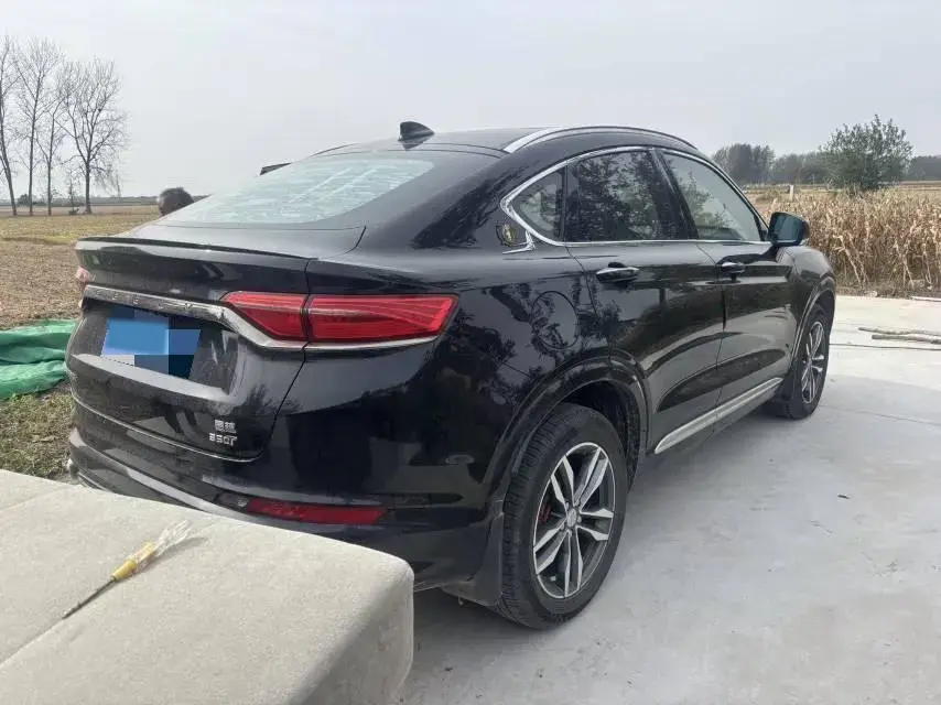 2019 GEELY TUGELLA thumbnail 2