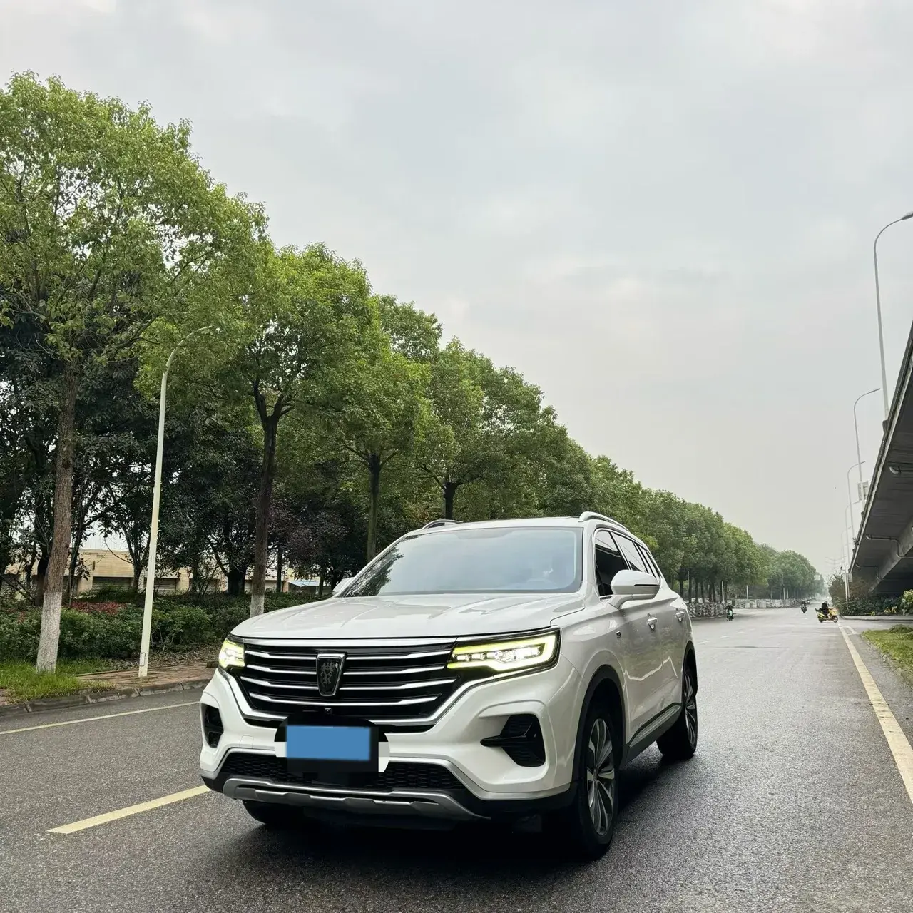 2019 ROEWE RX5 view 1