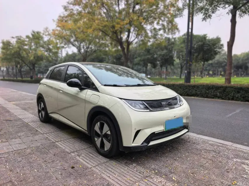 2023 BYD DOLPHIN thumbnail 3