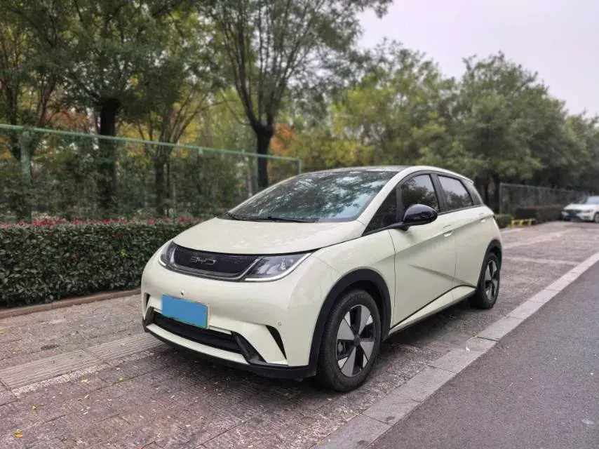 2023 BYD DOLPHIN view 1