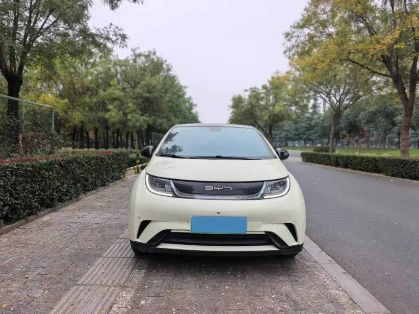 2023 BYD DOLPHIN thumbnail 2