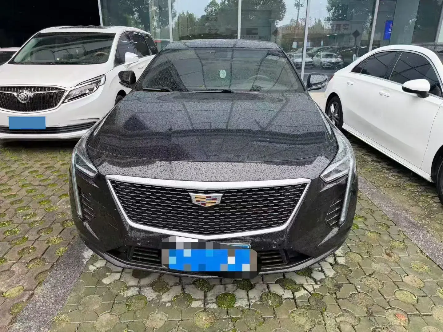 2019 CADILLAC CT6 thumbnail 2