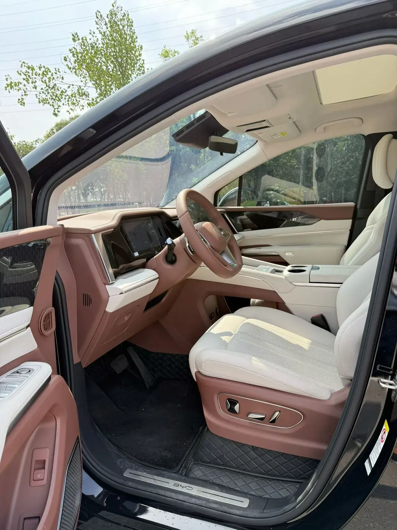 2025 BYD XIA thumbnail 3