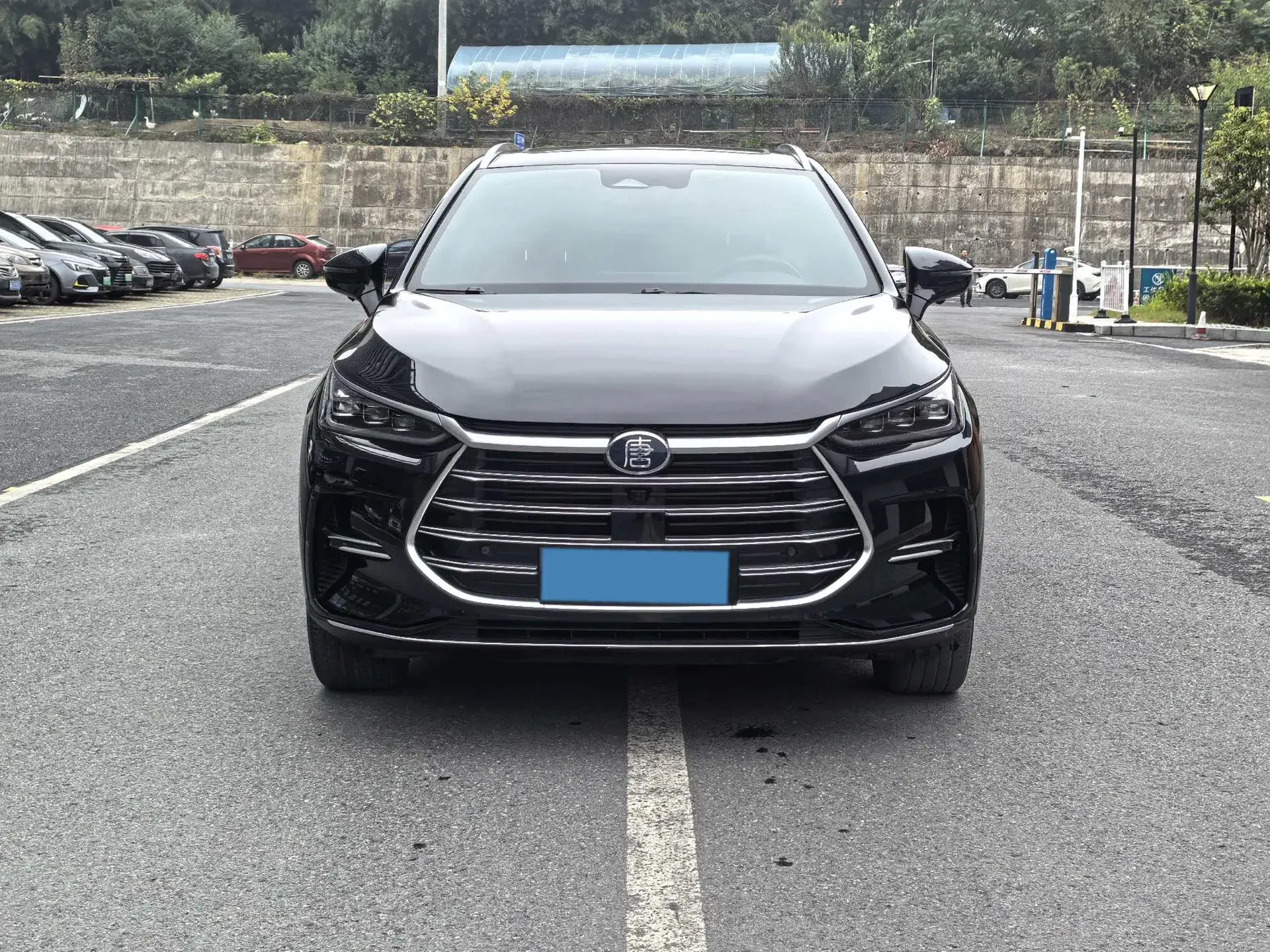 2021 BYD TANG thumbnail 2