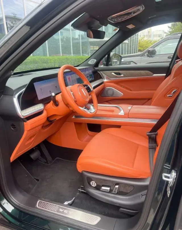 2023 WEY BLUEMOUNTAIN thumbnail 2