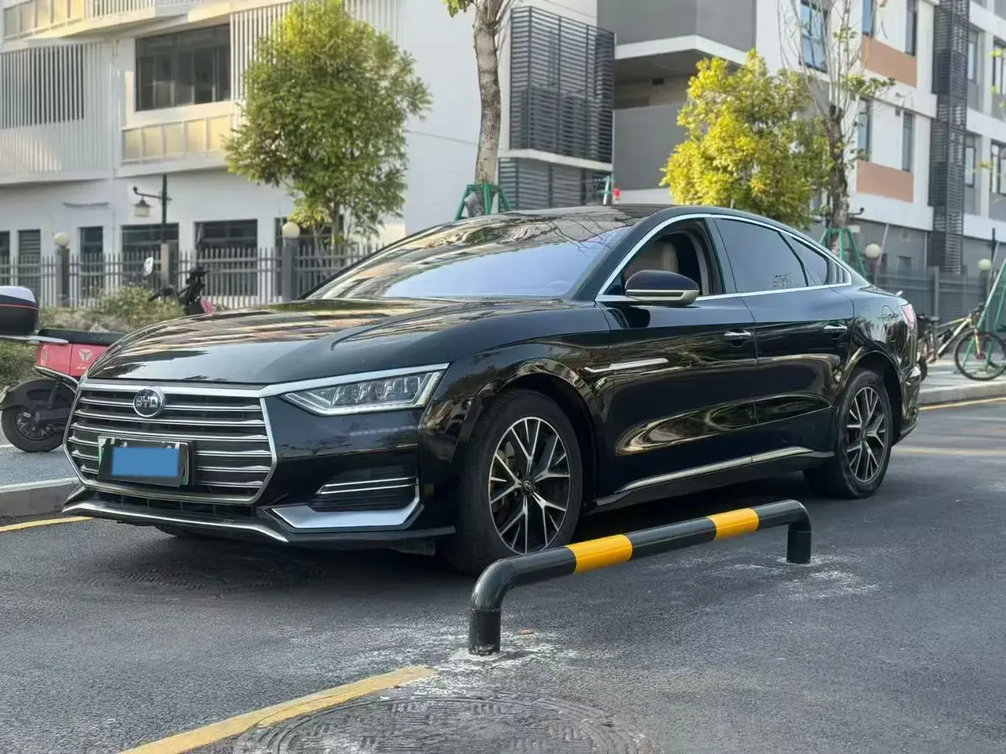 2021 BYD E9 view 1