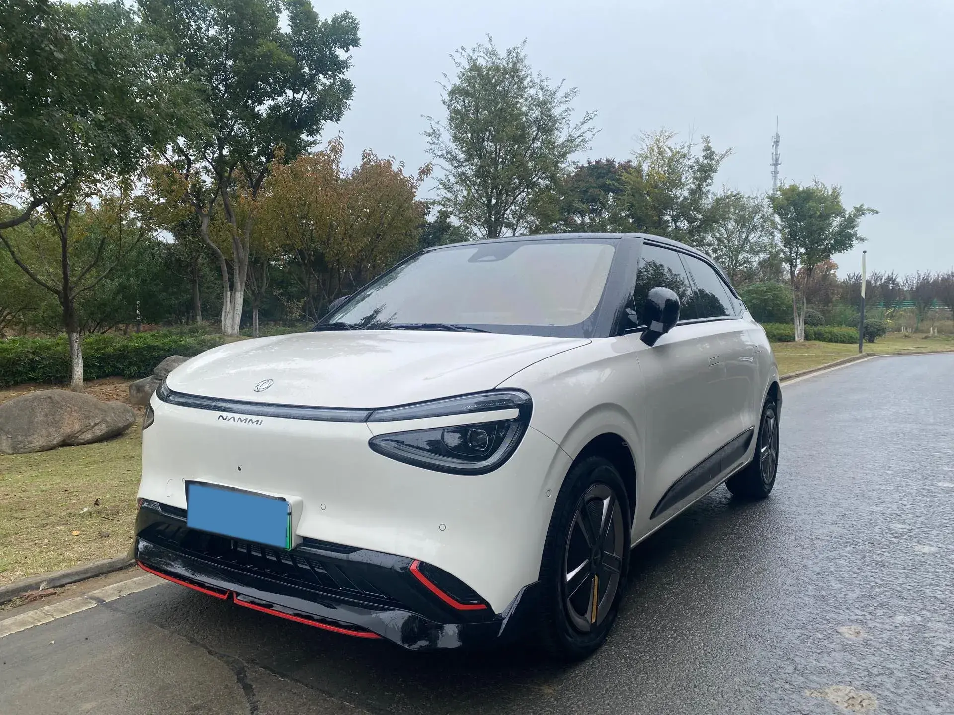 2024 DONGFENG NAMMI view 1