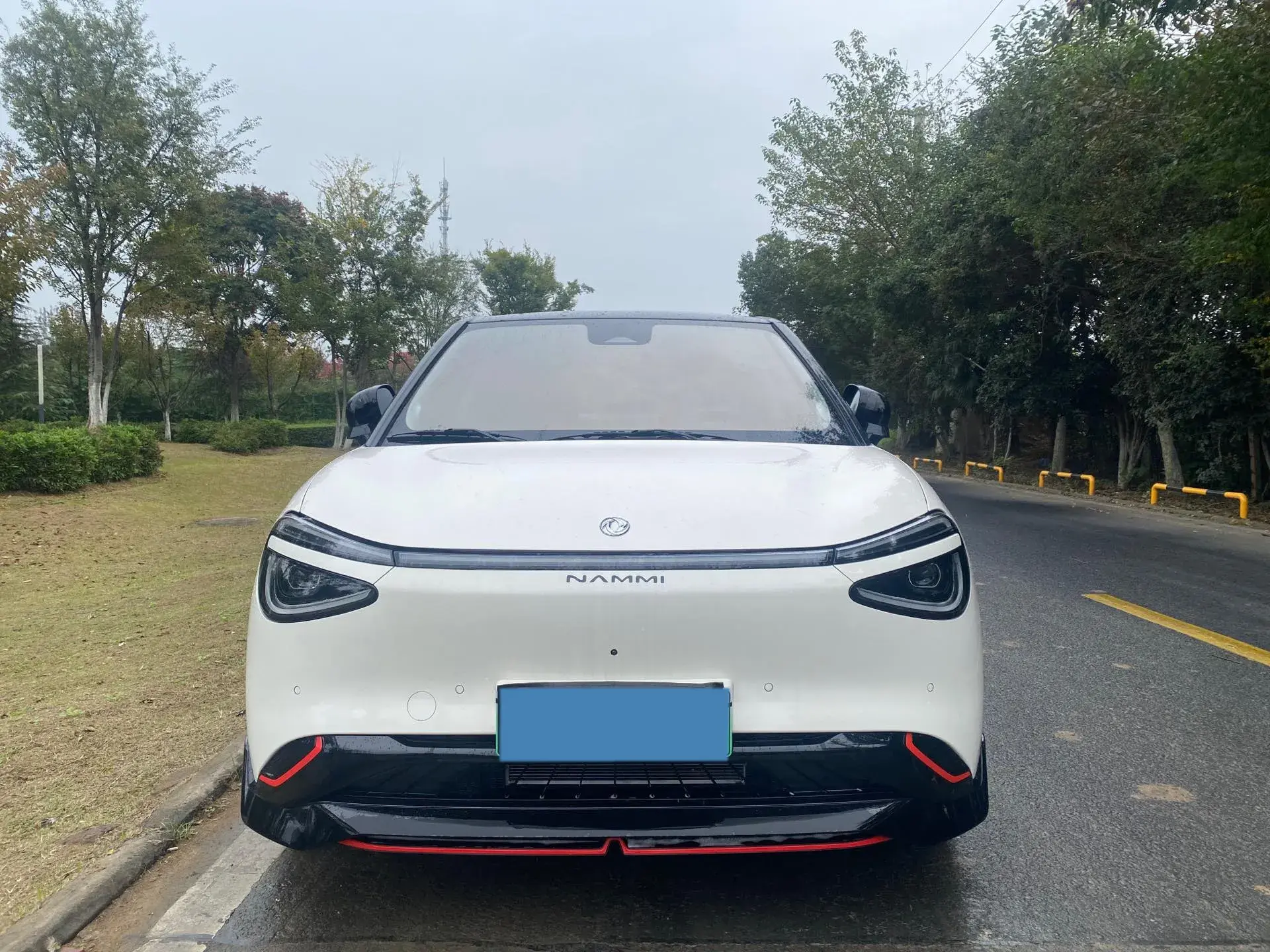 2024 DONGFENG NAMMI thumbnail 3