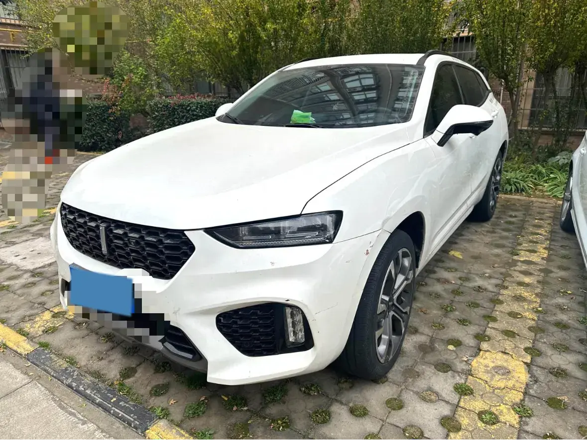 2019 WEY VV7 view 1