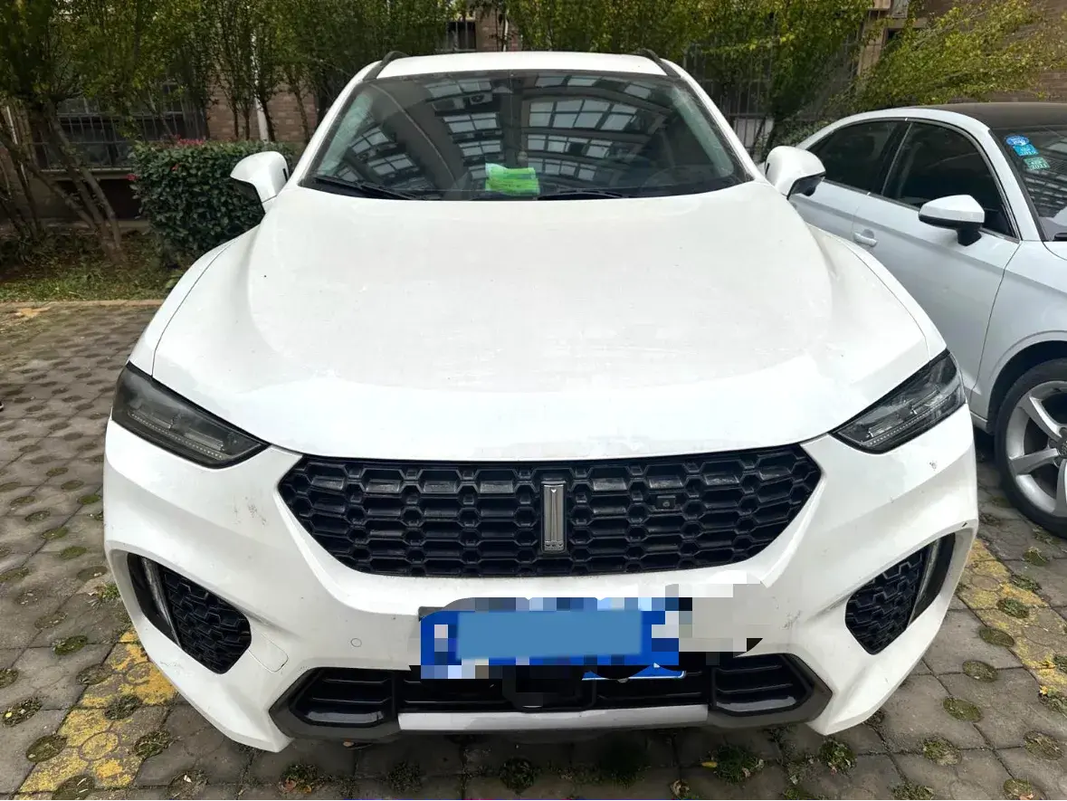 2019 WEY VV7 thumbnail 2