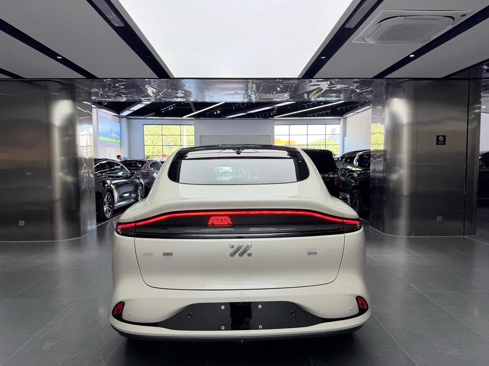 2025 IM LS6 thumbnail 4