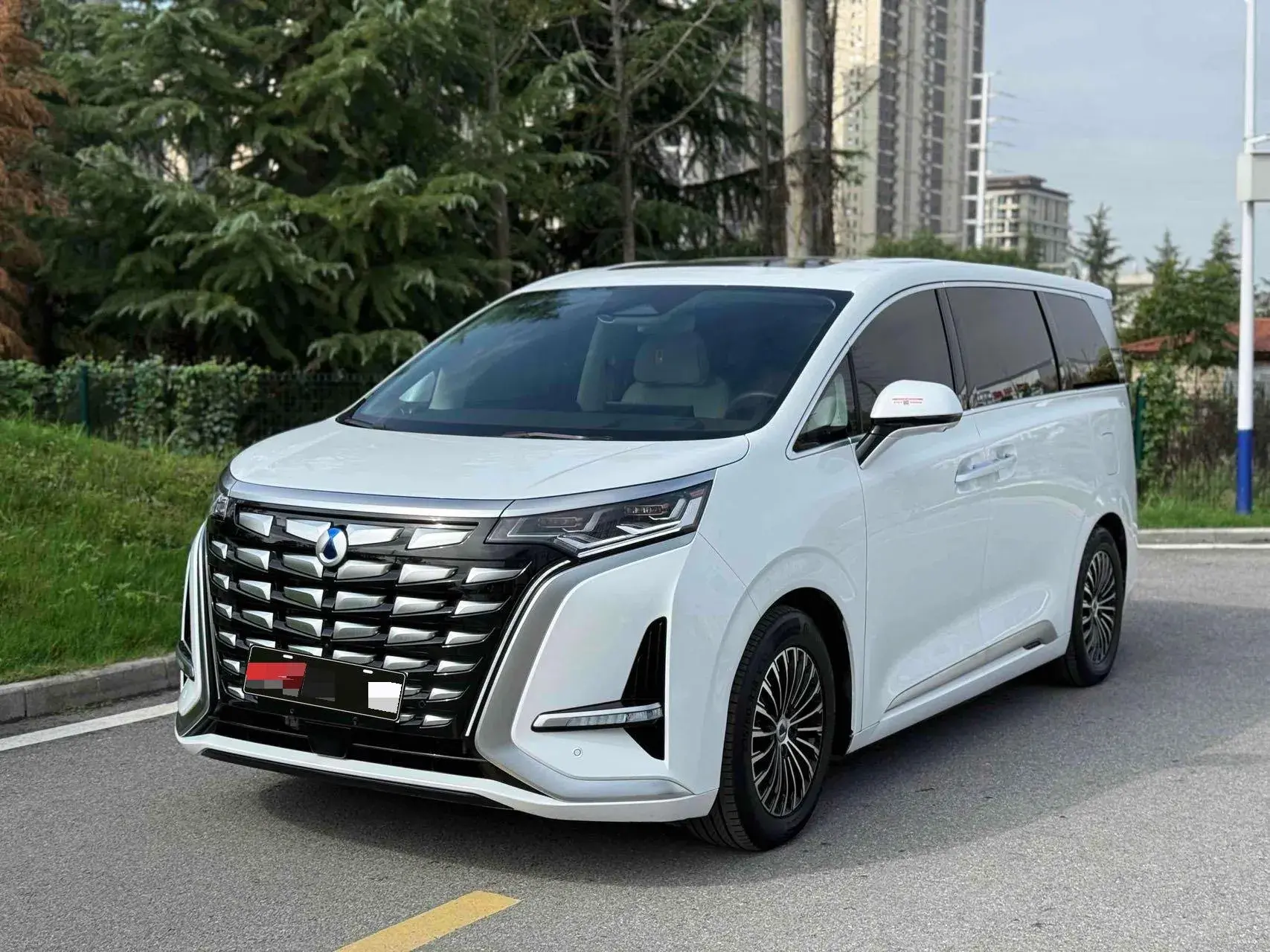 2024 DENZA D9 view 1