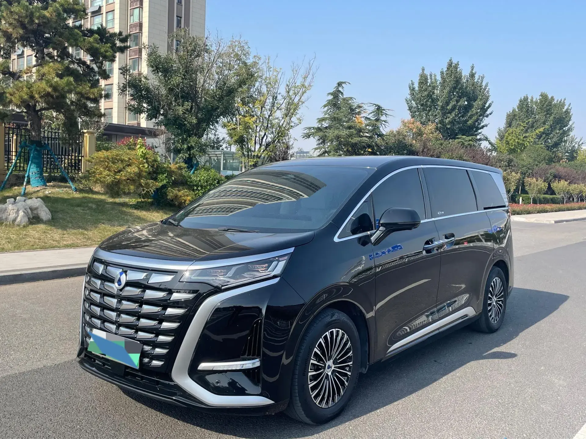 2023 DENZA D9 view 1